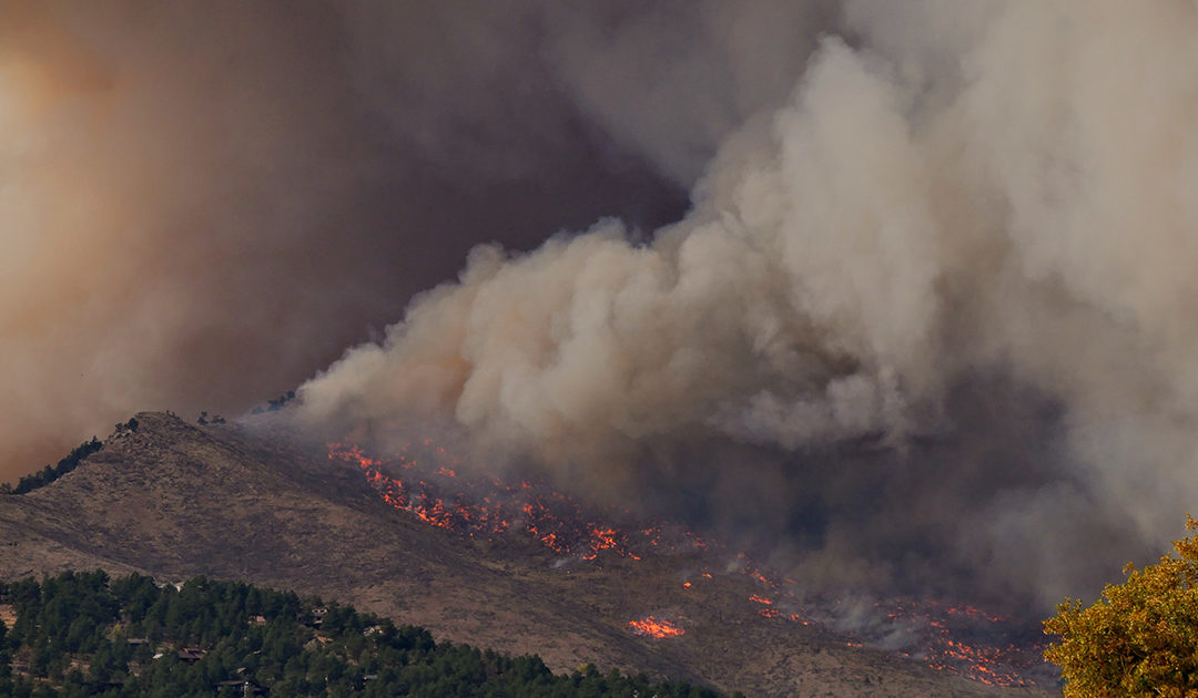 Environmental Impacts of Fire