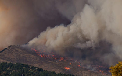 Environmental Impacts of Fire